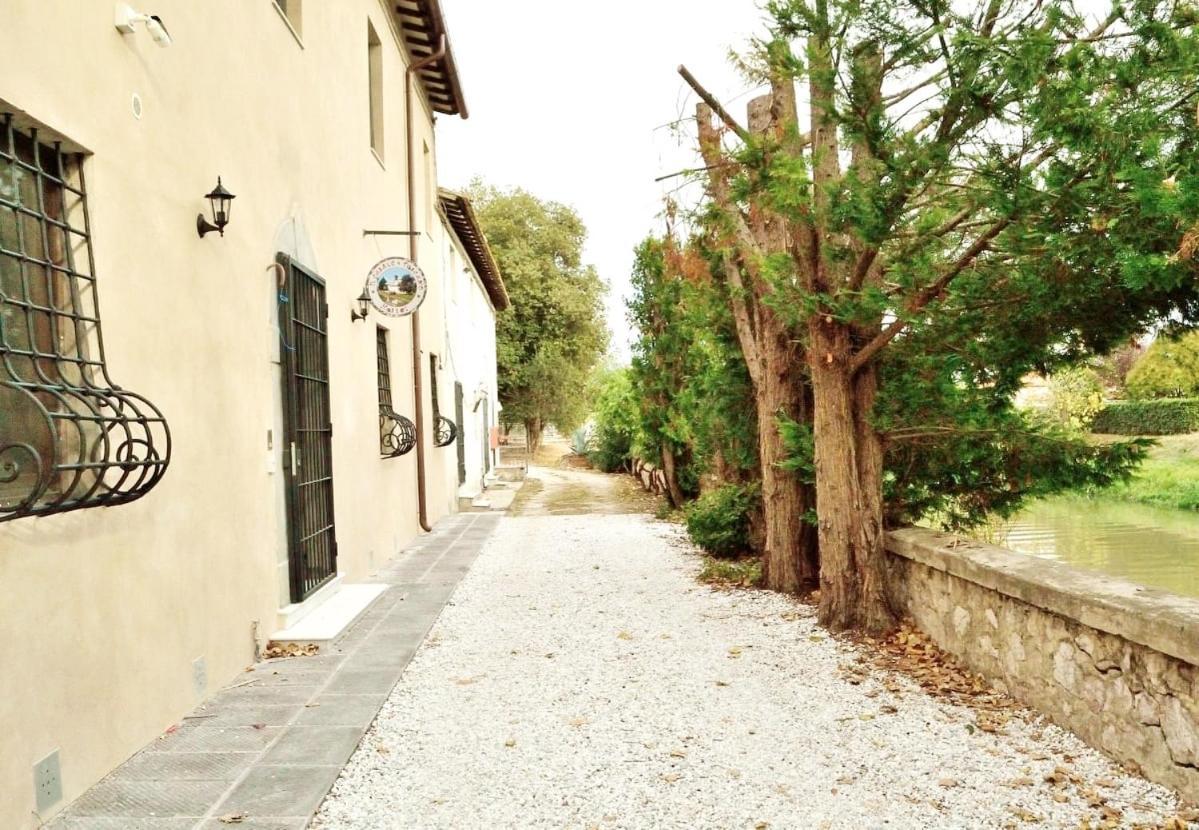 - Il Casale Toscano - 1900Mt From Leaning Tower - No Breakfast - Free Parking Pisa Exterior foto